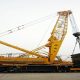 XCMG Crawler Crane