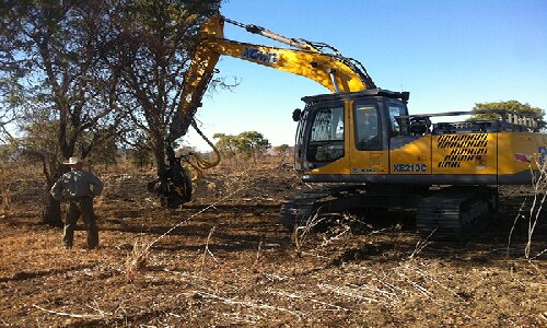 XCMG Forestry Excavators