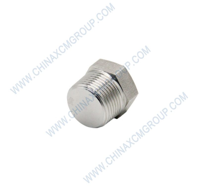 310705412 Plug