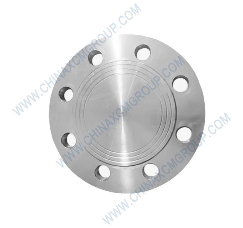 310705656 Flange Plate