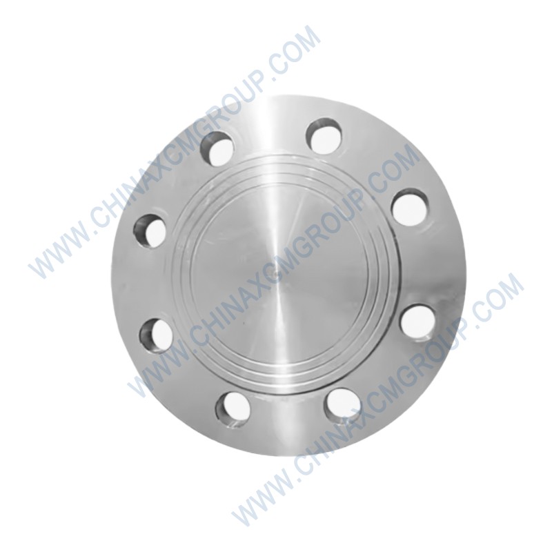 310705656 Flange Plate
