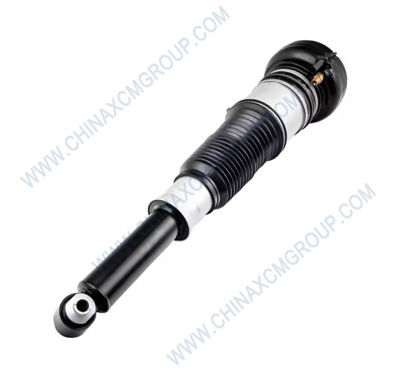 800154139 Shock Absorber