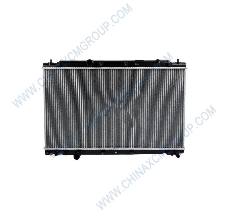 800154216 Radiator Assembly