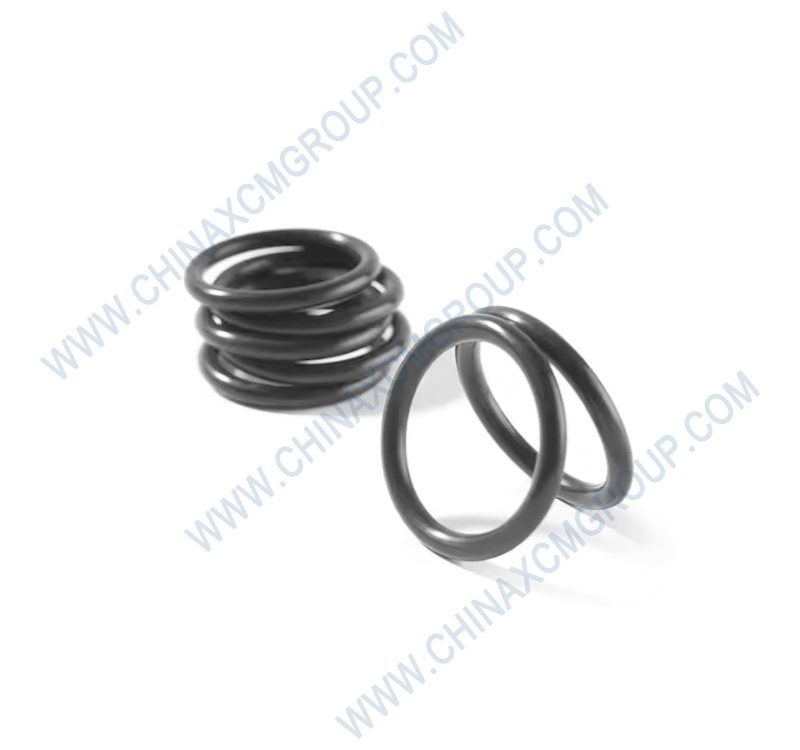 801100123 O-Ring