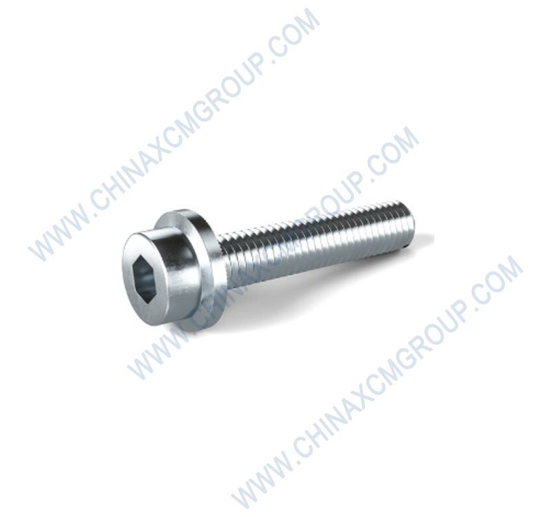 802149215 Screw