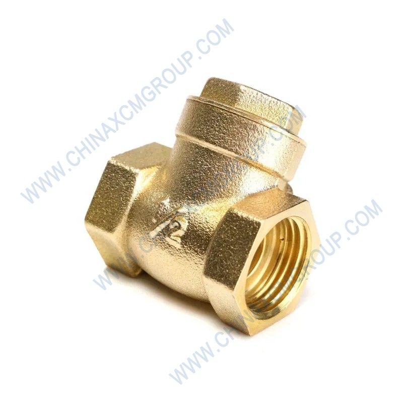 803172062 Check Valve