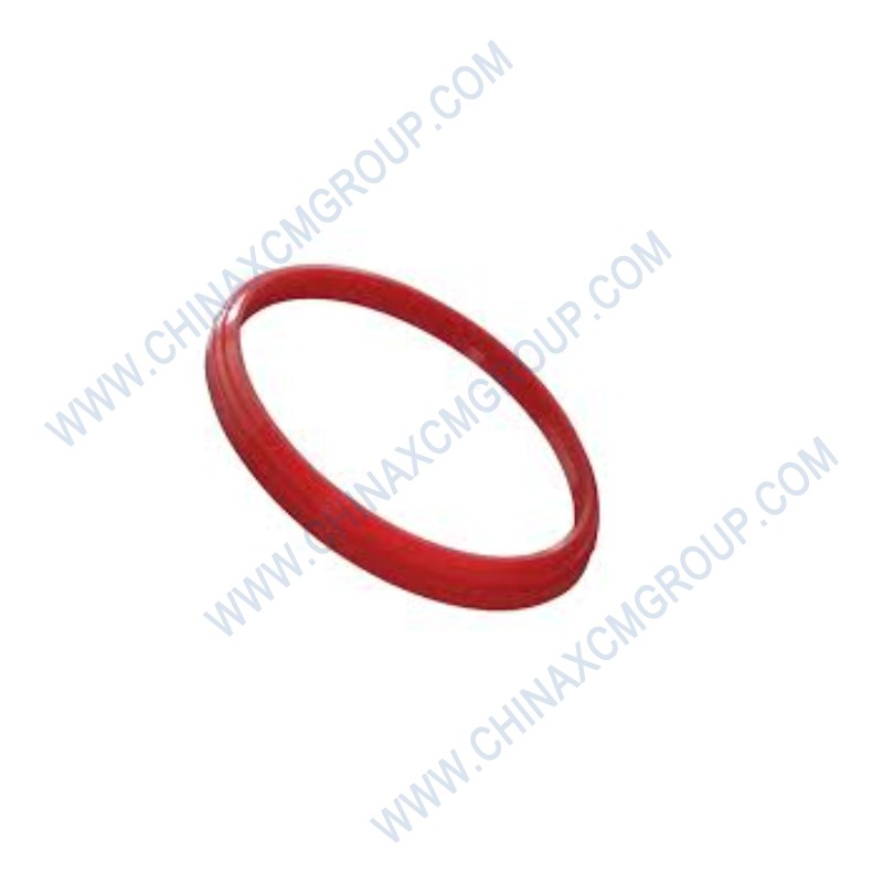 803172435 Dust Ring