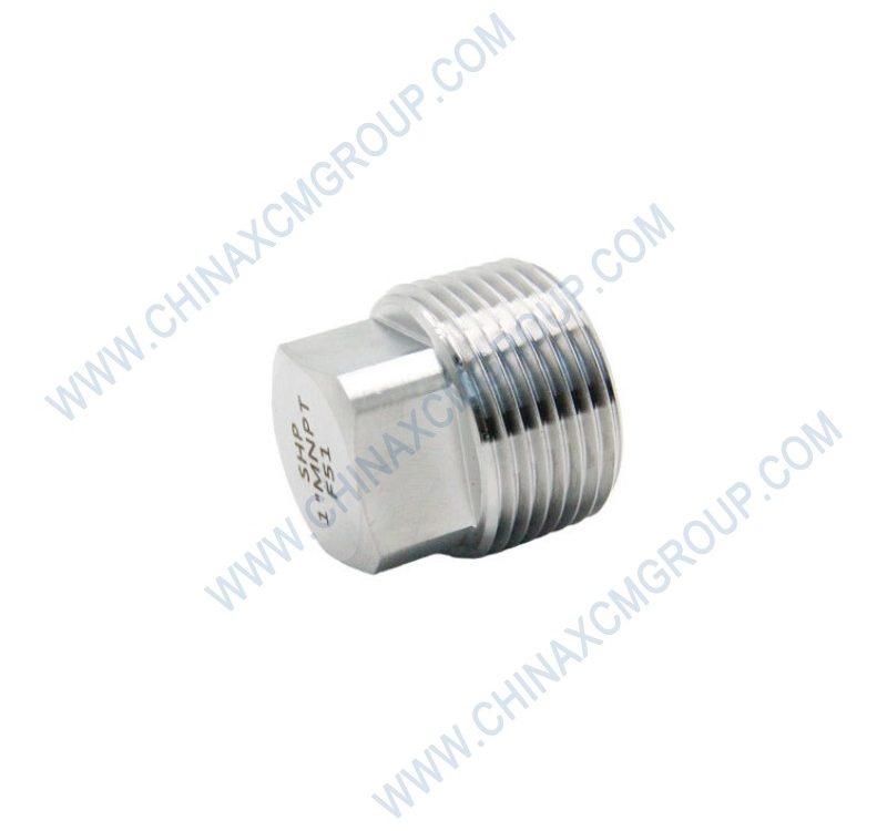 803172789 Plug