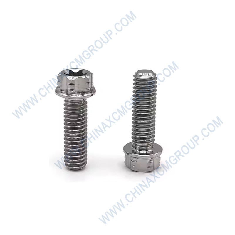 805046677 Bolt M20×160