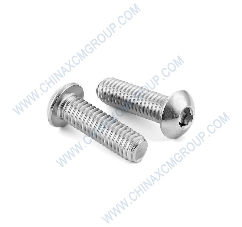 805139858 Screw M10×25