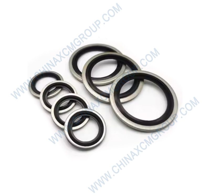 805300024 Combined Gasket