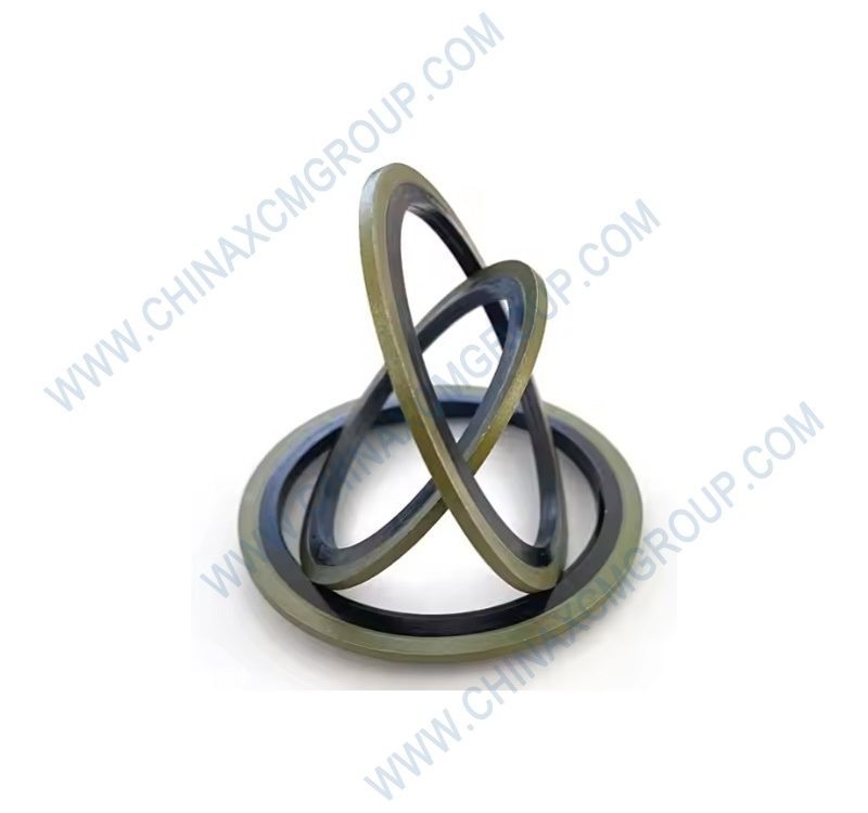 860120176 Sealing Gasket
