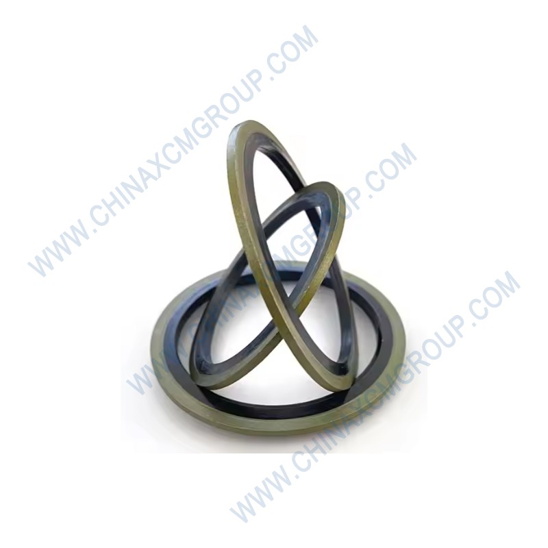 860120176 Sealing Gasket