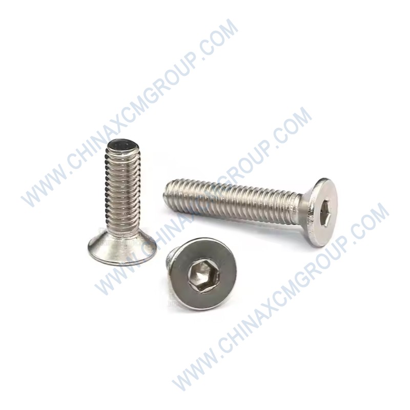 860120244 Screws