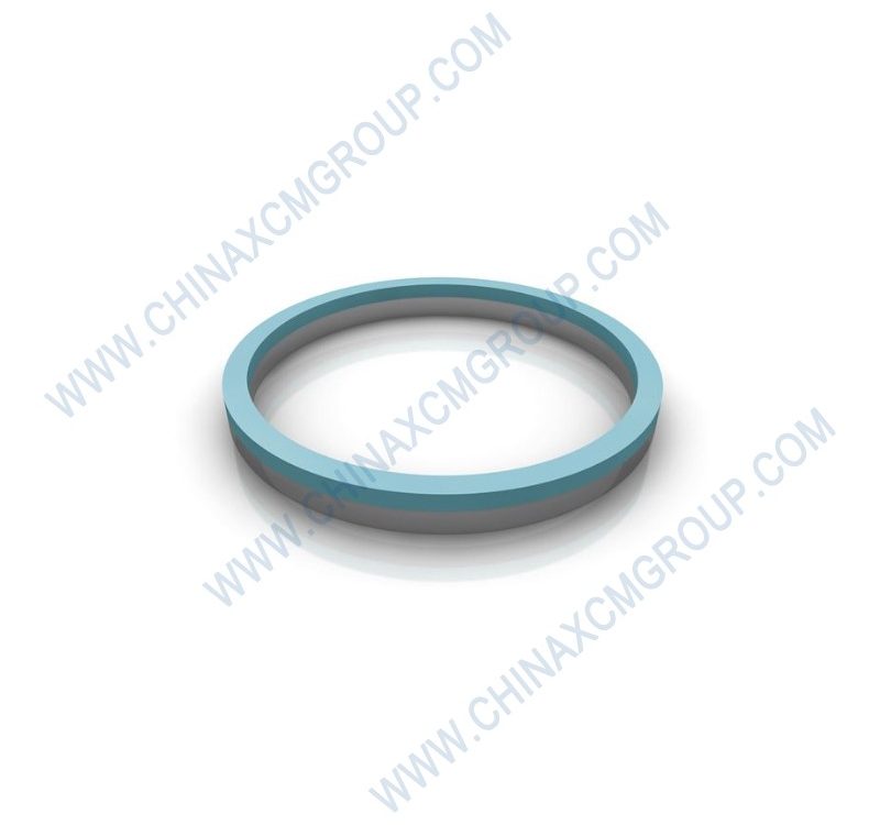860121005 Retaining Ring Ф95×3