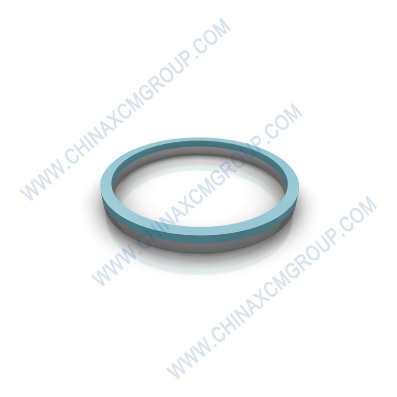 860121005 Retaining Ring Ф95×3