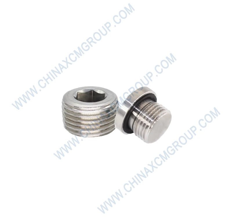 860124137 Plug