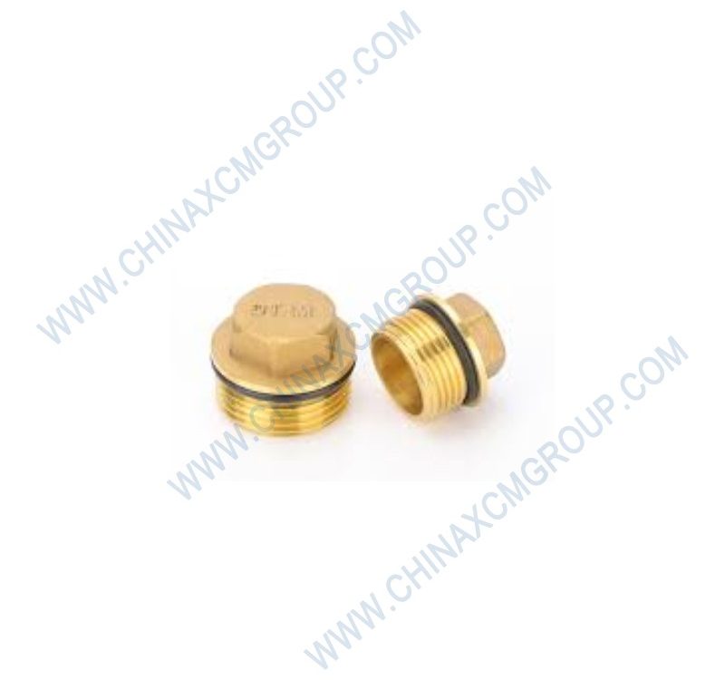 860132494 Plug