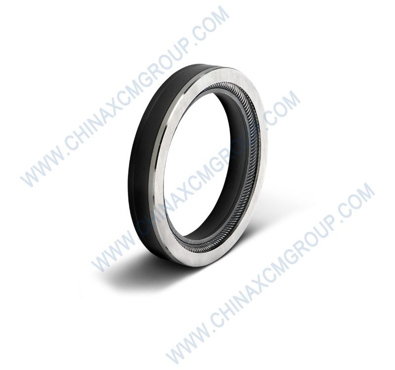 860139856 Rotary Seal