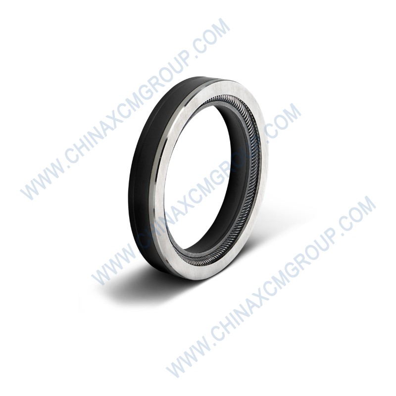 860139856 Rotary Seal