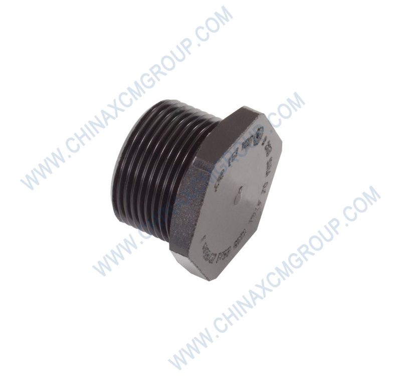 860200876 Nptf Plugs