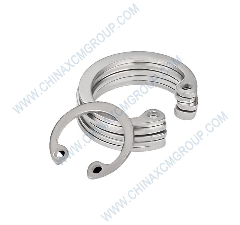 251500108 Flexible Retaining Spring