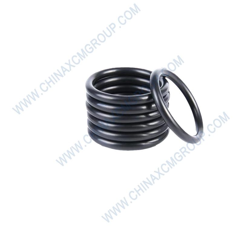 400402851 O-Ring