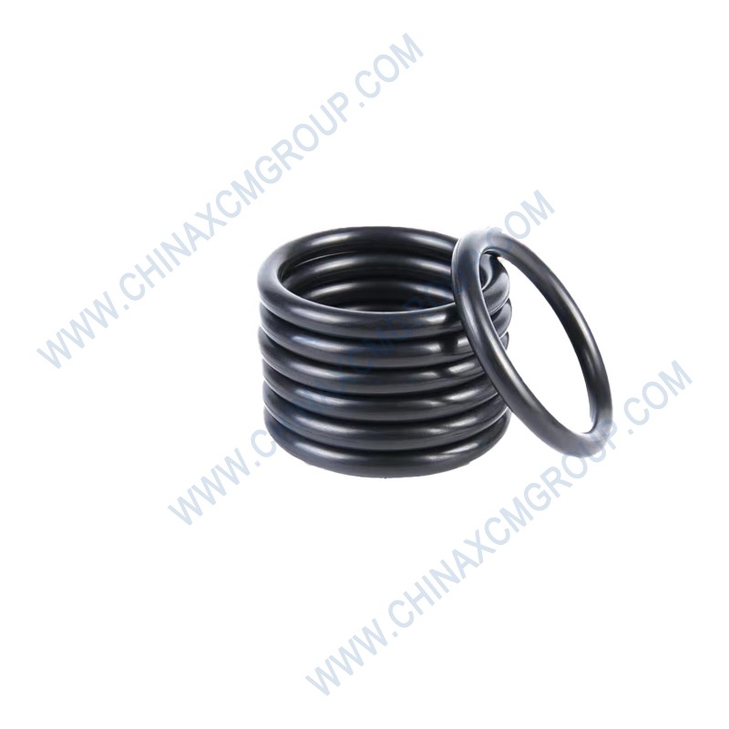 400402851 O-Ring