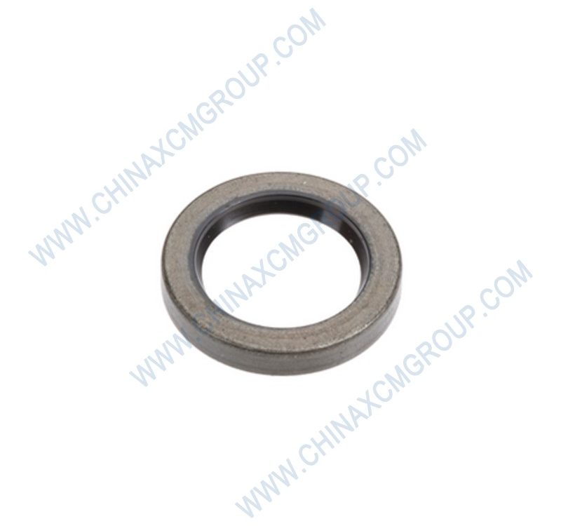 53100018 Oil Seal Fb60×80×8