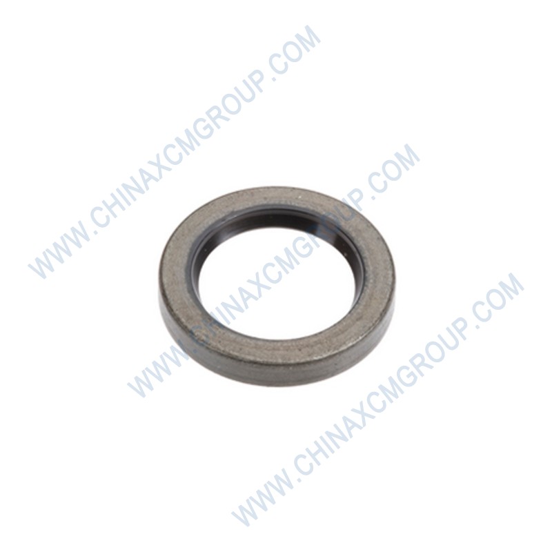 53100018 Oil Seal Fb60×80×8