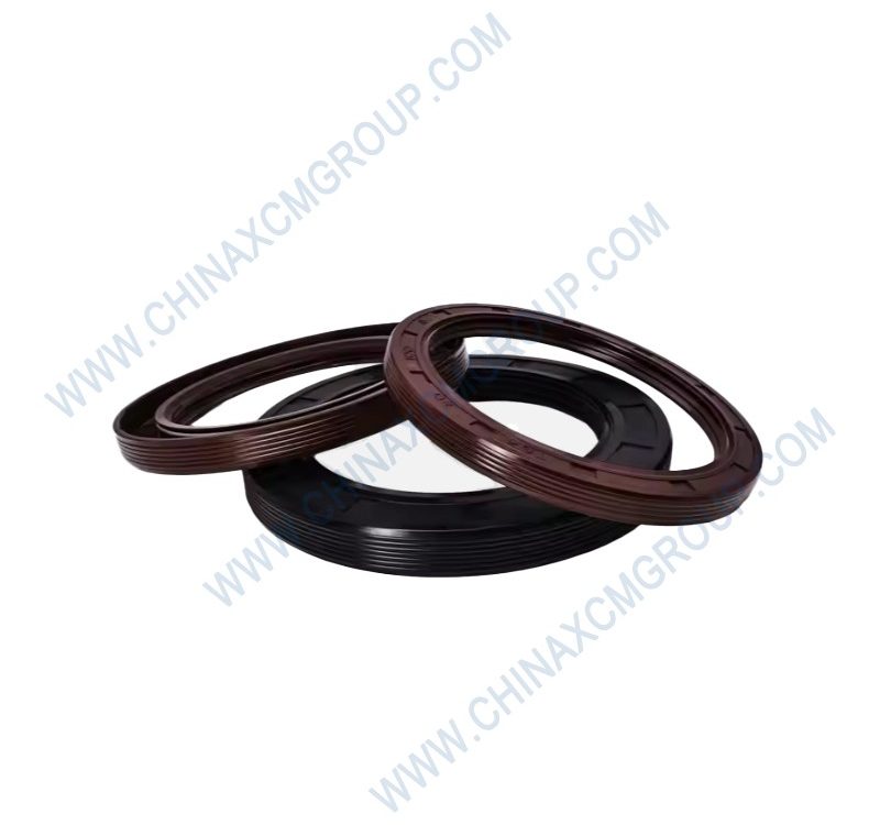 53100019 Oil Seal B 60×80×8