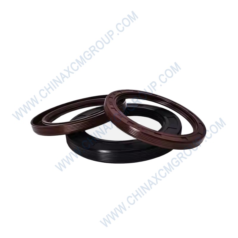 53100019 Oil Seal B 60×80×8
