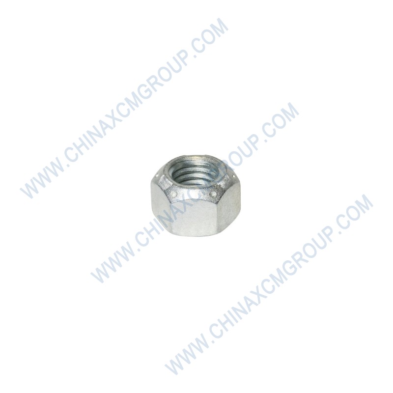 75500013 Lock Nut