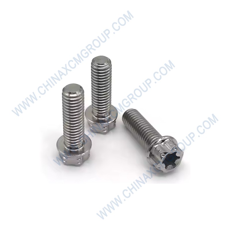 75500151 Bolt M10×30