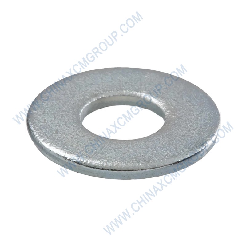 805300010 Washers