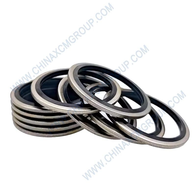 805300038 Combination Gasket
