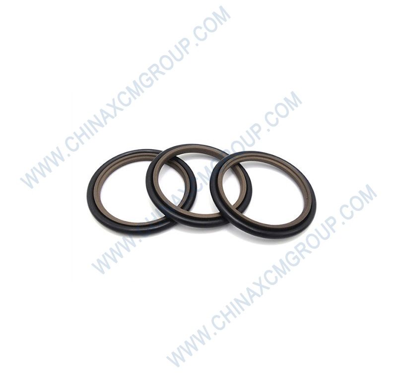860120919 Shaft Sealing Ring