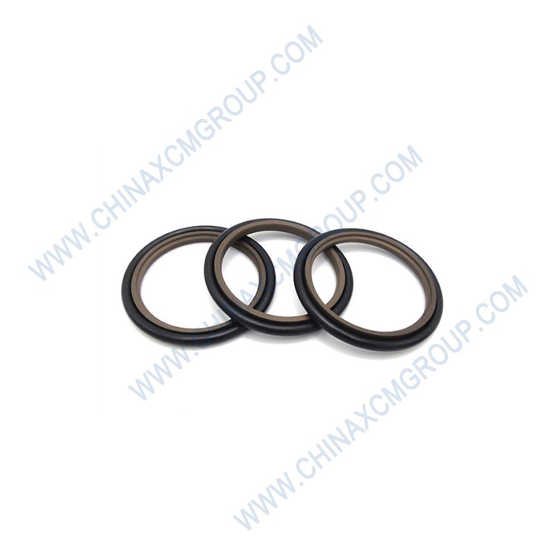 860120919 Shaft Sealing Ring
