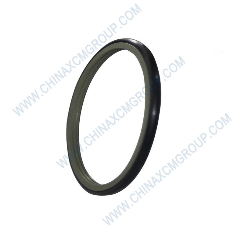 860120959 Shaft Sealing Ring