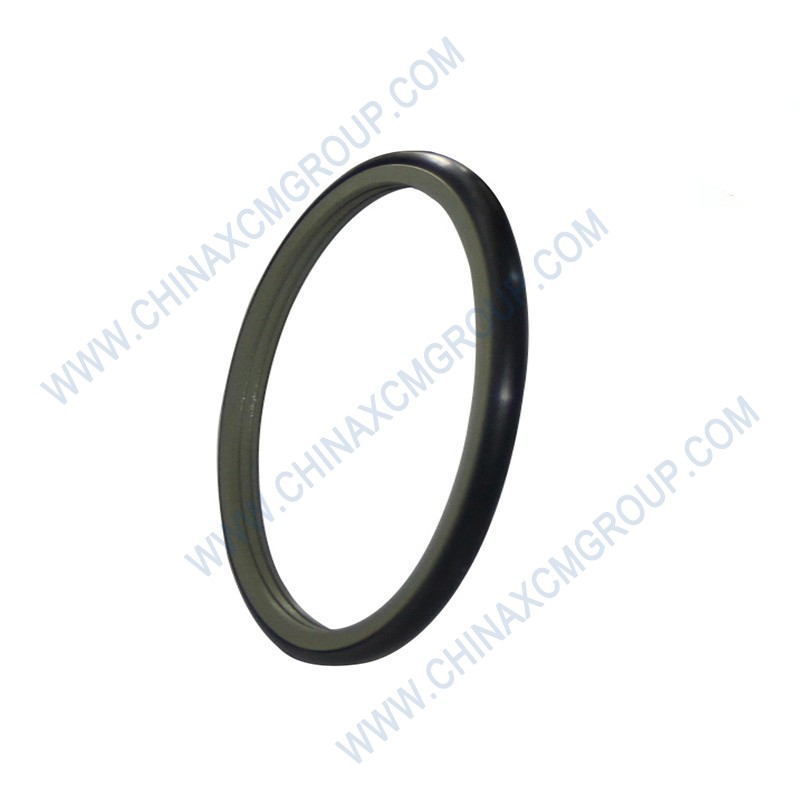 860120959 Shaft Sealing Ring