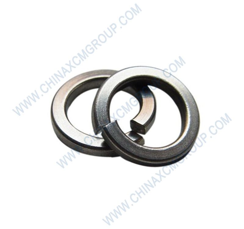 860120979 Spring Washers