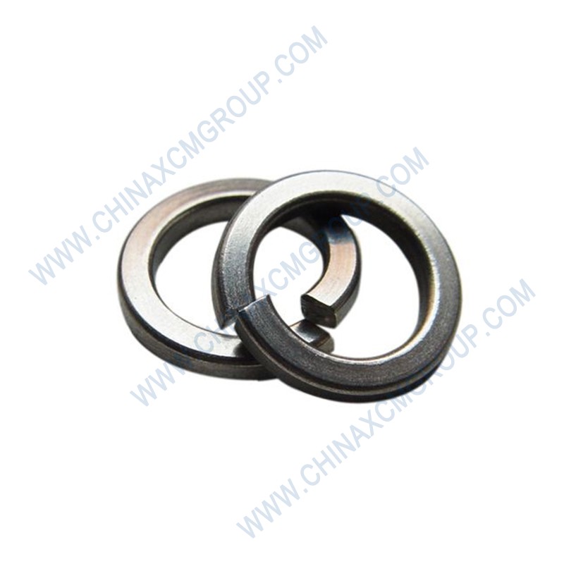 860120979 Spring Washers