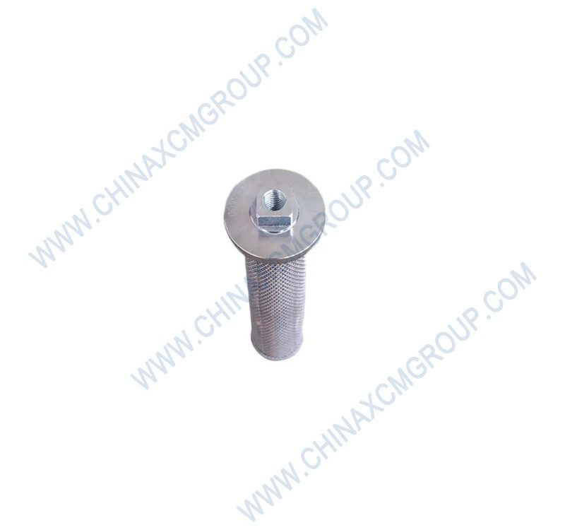 XGXL5-10×100 Oil Filter Assembly
