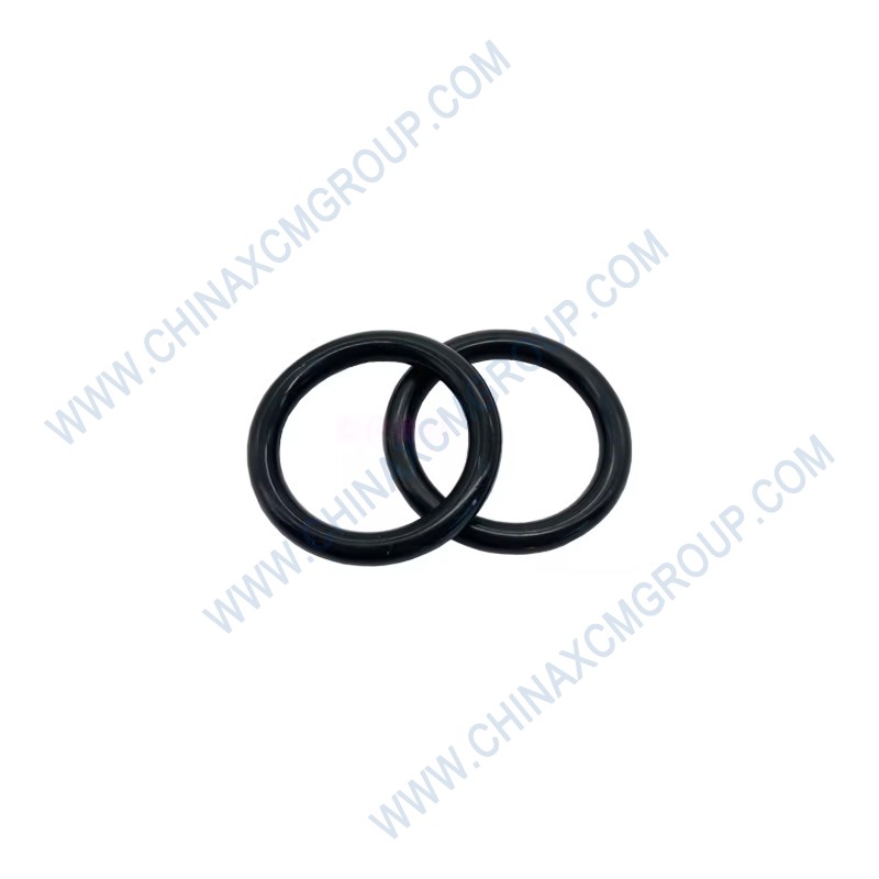 53000010 O-Ring 75 X 3.1
