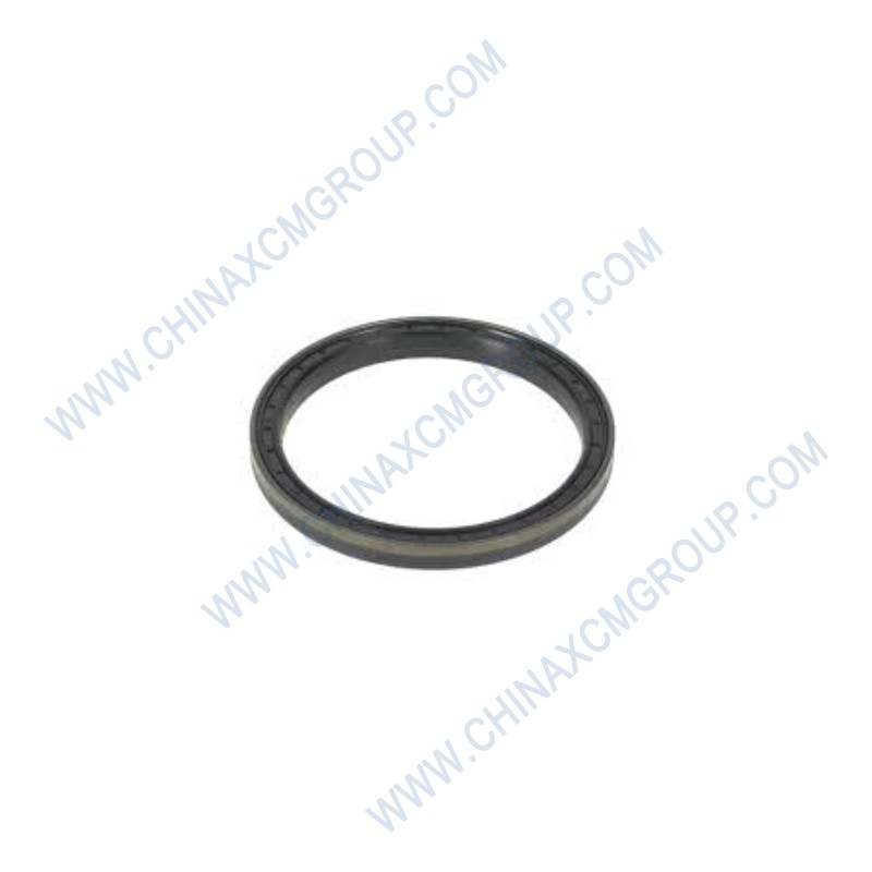 53100013 Oil Seal B140×170×15
