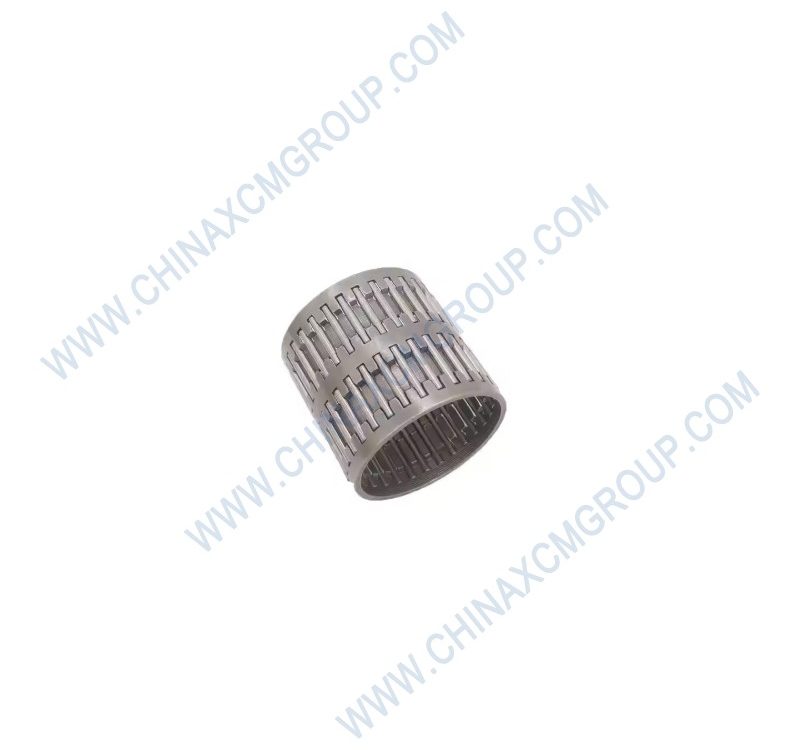 54400006 Needle Roller 6×21.8