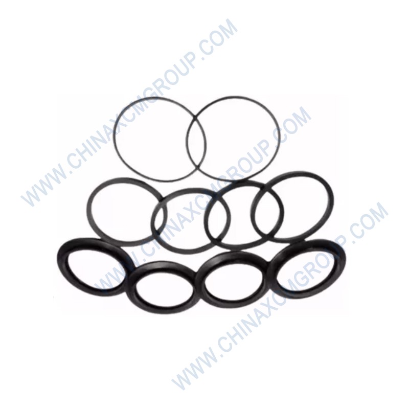 75700438 Dust Ring