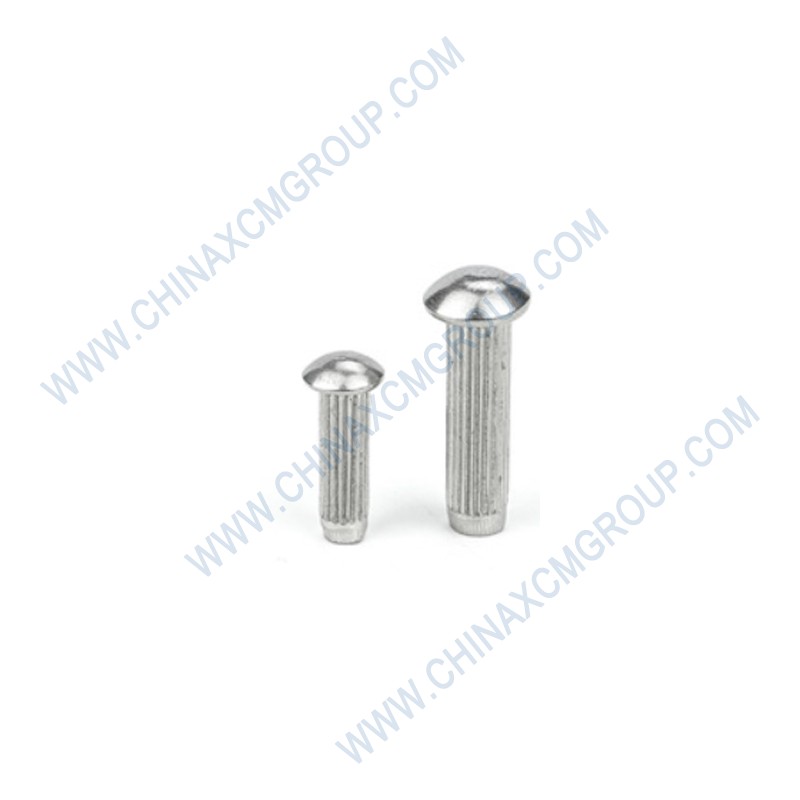 GBT827-1986 Rivet For Nameplate 2×6