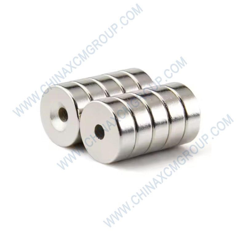 ZL20-030043 Permanent Magnet