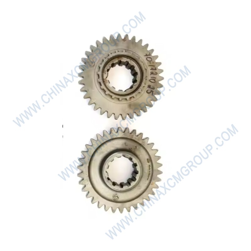 ZL30D-11-06 Main Gear
